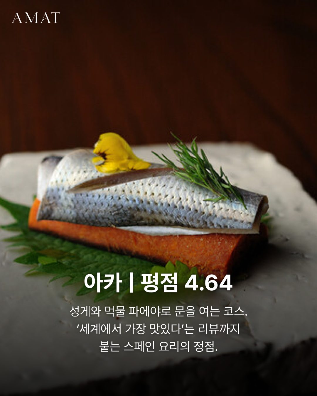 아카 스페인 요리 — 도쿄 맛집